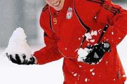 开云体育在线-韩国血洗利物浦，托雷斯打破历史纪录的简单介绍