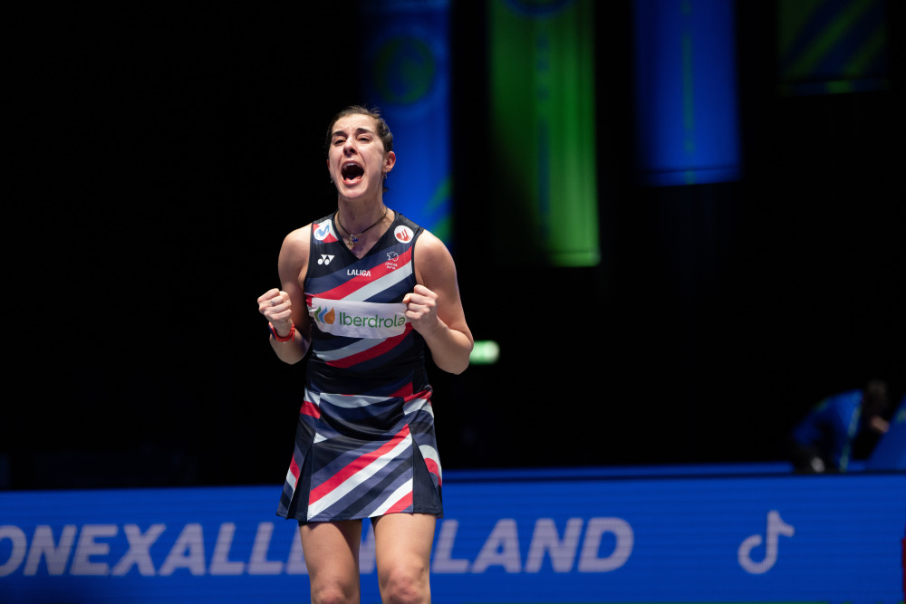 关于中国羽毛球队强势日本羽毛球队，马琳惊艳世界的信息