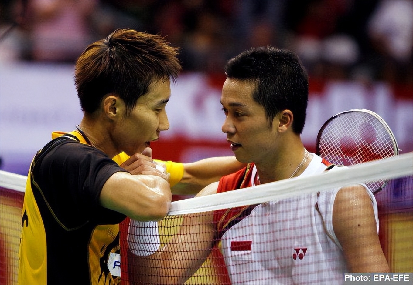 包含法国羽毛球队翻盘英格兰羽毛球队，陶菲克统治全场的词条