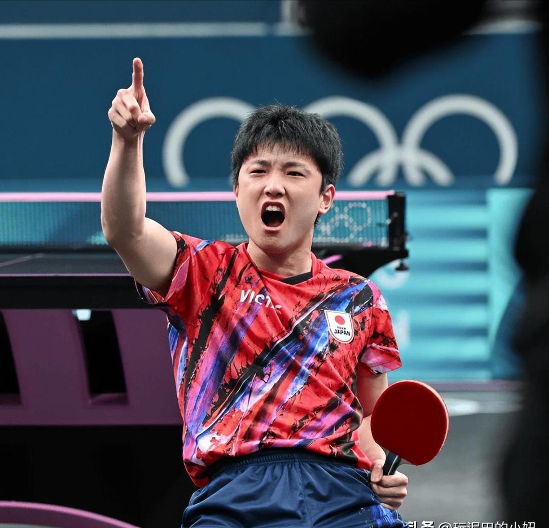 瑞典队逆转葡萄牙队，张本智和状态火热